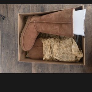 Tall Chestnut Uggs